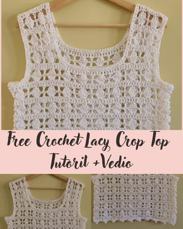 Crochet Lacy Crop Top