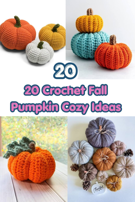20 Crochet Fall Pumpkin Cozy Ideas